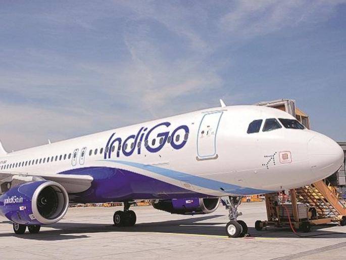 Passengers fed up with IndiGo, directly knocked on the door of the Supreme Court; Petitioners went to CJI Surya Kant's house! Said... | इंडिगोमुळे प्रवासी बेजार, थेट ठोठावलं सुप्रीम कोर्टाचं दार; CJI सूर्य कांत यांच्या घरी गेले याचिकाकर्ते! म्हणाले... Passengers fed up with IndiGo, directly knocked on the door of the Supreme Court; Petitioners went to CJI Surya Kant's house! Said... | इंडिगोमुळे प्रवासी बेजार, थेट ठोठावलं सुप्रीम कोर्टाचं दार; CJI सूर्य कांत यांच्या घरी गेले याचिकाकर्ते! म्हणाले...