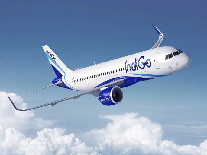 Vulture hits Indigo plane taking off from Patna, makes emergency landing in Ranchi | पाटण्याहून उड्डाण केलेल्या विमानाला गिधाडाची धडक, रांचीत इमर्जन्सी लँडिंग; 4000 फूट उंचावर अडकला होता 175 जणांचा जीव
