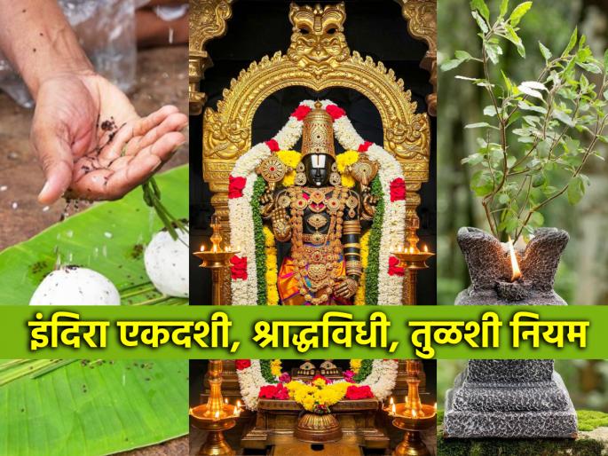Indira Ekadashi 2025: Indira Ekadashi that gives salvation to ancestors; Remember to avoid 'such' use of Tulsi | Indira Ekadashi 2025: पितरांना मोक्ष देणारी इंदिरा एकादशी; तुळशीचा 'असा' वापर आठवणीने टाळा Indira Ekadashi 2025: Indira Ekadashi that gives salvation to ancestors; Remember to avoid 'such' use of Tulsi | Indira Ekadashi 2025: पितरांना मोक्ष देणारी इंदिरा एकादशी; तुळशीचा 'असा' वापर आठवणीने टाळा