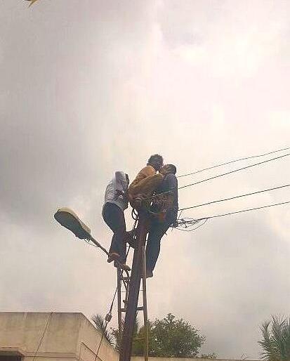  'Shock' collapsed on a pillar, 'Janmitra' | ‘शॉक’ लागून खांबावरच गतप्राण झाला ‘जनमित्र’