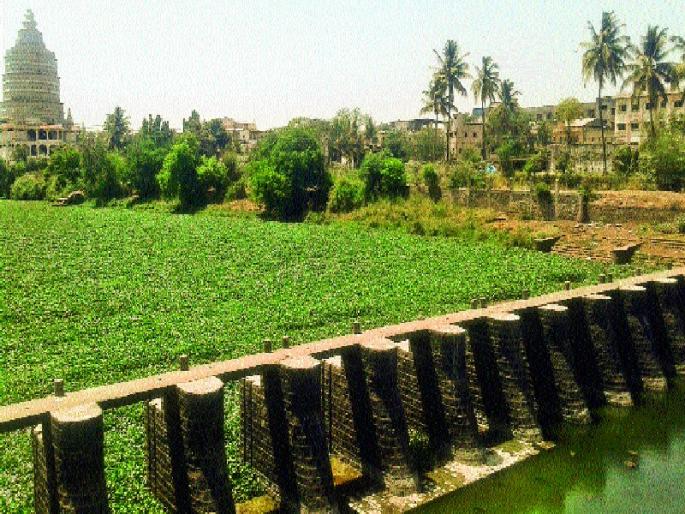 Alandi Indrayani News | आळंदीत इंद्रायणीला जलपर्णीचे ग्रहण Alandi Indrayani News | आळंदीत इंद्रायणीला जलपर्णीचे ग्रहण