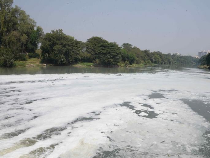 Indrayani foamed due to detergent pollution, pollution control board preliminary information | डिटर्जंटच्या प्रदूषणामुळे इंद्रायणी फेसाळली, प्रदूषण नियंत्रण मंडळाची प्राथमिक माहिती Indrayani foamed due to detergent pollution, pollution control board preliminary information | डिटर्जंटच्या प्रदूषणामुळे इंद्रायणी फेसाळली, प्रदूषण नियंत्रण मंडळाची प्राथमिक माहिती