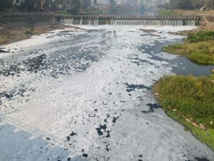 pimpari-chinchwad Municipal Corporation admits that Indrayani River is the most polluted river in the environmental report, dangerous for human health and aquatic life; measures are being ignored | पवना आणि इंद्रायणी नदी सर्वाधिक प्रदूषित;शहरातील नाले, उद्योगांच्या रसायनयुक्त पाण्यामुळे प्रदूषणात भर