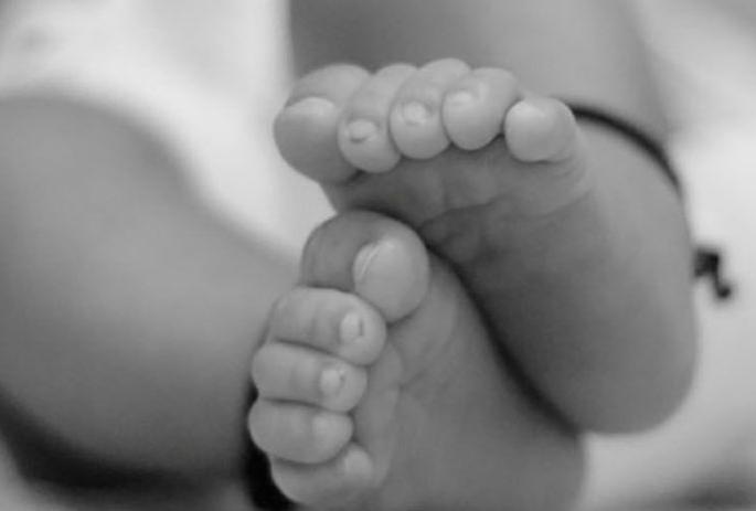 The infant mortality rate in Washim district decreased during the Corona period | कोरोनाकाळात वाशिम जिल्ह्यात लहान मुलांच्या मृत्यूचे प्रमाण घटले The infant mortality rate in Washim district decreased during the Corona period | कोरोनाकाळात वाशिम जिल्ह्यात लहान मुलांच्या मृत्यूचे प्रमाण घटले