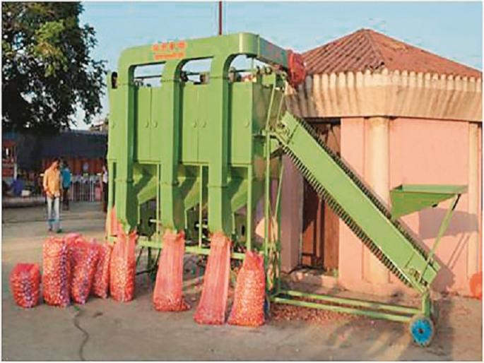 Grassroot Innovator: Developed onion grading equipment in Dr. Punjabrao Deshmukh Agricultural University Akola | ग्रासरूट इनोव्हेटर : डॉ. पंजाबराव देशमुख कृषी विद्यापीठात कांदा प्रतवारी यंत्र विकसित Grassroot Innovator: Developed onion grading equipment in Dr. Punjabrao Deshmukh Agricultural University Akola | ग्रासरूट इनोव्हेटर : डॉ. पंजाबराव देशमुख कृषी विद्यापीठात कांदा प्रतवारी यंत्र विकसित