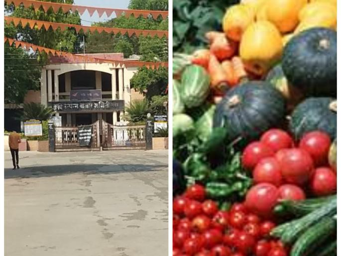 Corona Virus in Nanded: Vegetable decaying on fields; From eight days, the market committee's deal was completely jammed | Corona Virus in Nanded : भाजीपाला सडतोय शेतातच; आठ दिवसांपासून बाजार समितीचा व्यवहार पूर्णपणे ठप्प