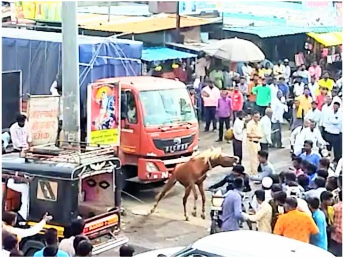 Haidos in the Ardhapur of the horse; Three bitten in hospital for treatment | पिसाळलेल्या घोड्याचा अर्धापूरात हैदोस; चावा घेतलेले तिघे रूग्णालयात Haidos in the Ardhapur of the horse; Three bitten in hospital for treatment | पिसाळलेल्या घोड्याचा अर्धापूरात हैदोस; चावा घेतलेले तिघे रूग्णालयात