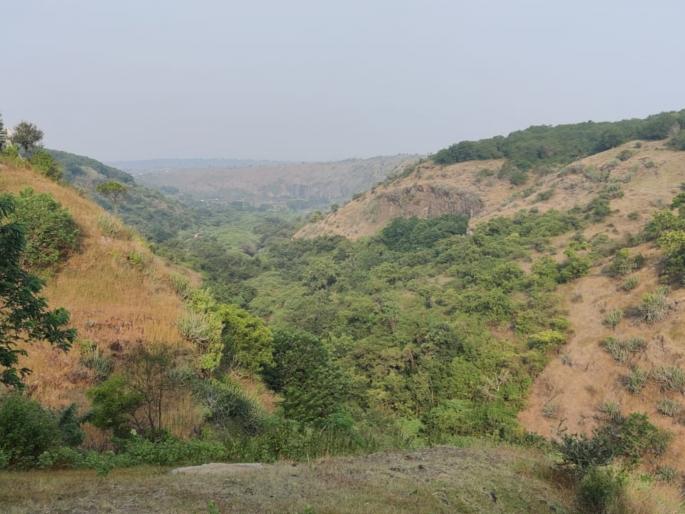 A youth commits suicide by jumping into the valley infront of his mother | डोंगरा ऐवढे दुःख! आईच्या डोळ्यादेखत दरीत उडी मारून युवकाची आत्महत्या A youth commits suicide by jumping into the valley infront of his mother | डोंगरा ऐवढे दुःख! आईच्या डोळ्यादेखत दरीत उडी मारून युवकाची आत्महत्या
