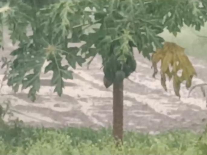 satisfaction among farmers; In Parbhani district, it is drizzling in some places and heavy rain in other places | शेतकऱ्यांमध्ये समाधान; परभणी जिल्ह्यात कुठे रिमझिम तर कुठे जोरदार पाऊस satisfaction among farmers; In Parbhani district, it is drizzling in some places and heavy rain in other places | शेतकऱ्यांमध्ये समाधान; परभणी जिल्ह्यात कुठे रिमझिम तर कुठे जोरदार पाऊस