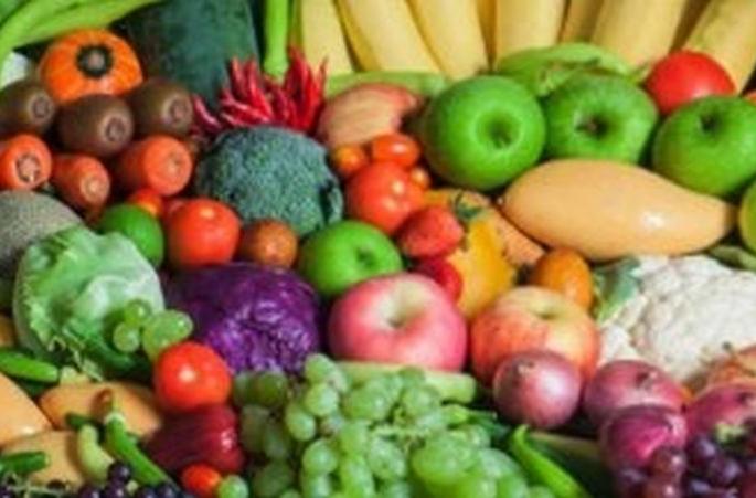 Integrated Horticulture Development Campaign: Farmers waiting for donations! | एकात्मिक फलोत्पादन विकास अभियान : शेतकऱ्यांना अनुदानाची प्रतीक्षा! Integrated Horticulture Development Campaign: Farmers waiting for donations! | एकात्मिक फलोत्पादन विकास अभियान : शेतकऱ्यांना अनुदानाची प्रतीक्षा!