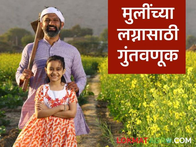 where will you invest money for your daughter's marriage and education? Here are 3 options | तुमच्या मुलीचे लग्न व शिक्षणासाठी कुठे कराल पैशांची गुंतवणूक? 'हे' आहेत ३ पर्याय