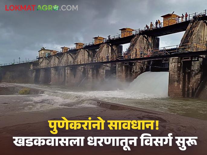 Pune Flood Discharge in Panshet, Khadakwasla Dam into Mutha River! Alert warning for Pune residents | Pune Flood : पानशेत, खडकवासला धरणातून मुठा नदीत विसर्ग सुरू! पुणेकरांसाठी सतर्कतेचा इशारा Pune Flood Discharge in Panshet, Khadakwasla Dam into Mutha River! Alert warning for Pune residents | Pune Flood : पानशेत, खडकवासला धरणातून मुठा नदीत विसर्ग सुरू! पुणेकरांसाठी सतर्कतेचा इशारा