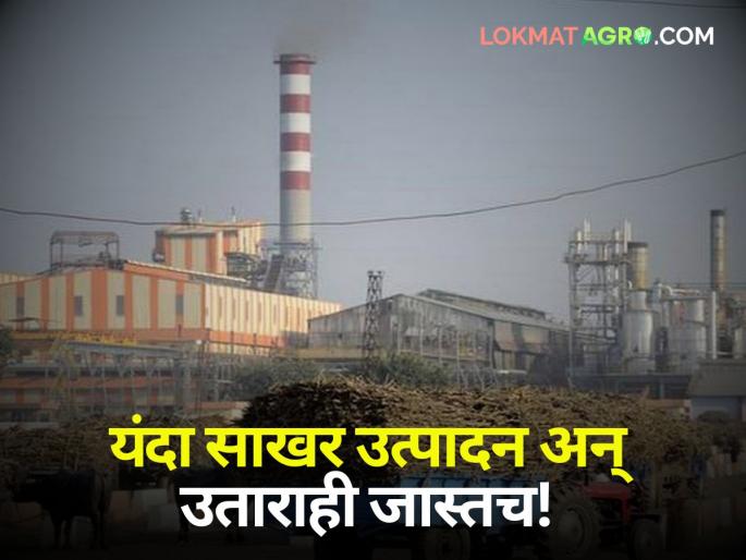 Sugar production increased this year! Tremendous increase in sugarcane production and export; See statistics | यंदा उस उत्पादन, साखर उत्पादन अन् उताऱ्यातही कमालीची वाढ; पाहा आकडेवारी Sugar production increased this year! Tremendous increase in sugarcane production and export; See statistics | यंदा उस उत्पादन, साखर उत्पादन अन् उताऱ्यातही कमालीची वाढ; पाहा आकडेवारी