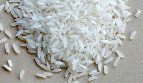 The 'this' rule says that the new rice is only three months old! | 'हा' नियम म्हणतो, नव्या तांदळाचे वय अवघे तीन महिने ! The 'this' rule says that the new rice is only three months old! | 'हा' नियम म्हणतो, नव्या तांदळाचे वय अवघे तीन महिने !