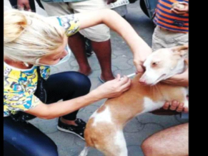 14 young dogs adopted by young Iranian woman; "is my family," she says | तब्बल १४ श्वानांना इराणच्या तरुणीने घेतले दत्तक; 'ती' म्हणते, हेच माझे कुटुंब 14 young dogs adopted by young Iranian woman; "is my family," she says | तब्बल १४ श्वानांना इराणच्या तरुणीने घेतले दत्तक; 'ती' म्हणते, हेच माझे कुटुंब