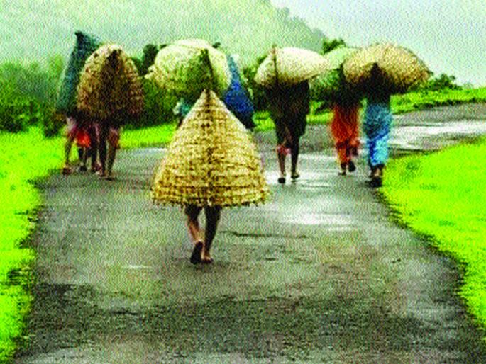 Irreplacement | इरले-घोंगडी होताहेत नामशेष Irreplacement | इरले-घोंगडी होताहेत नामशेष