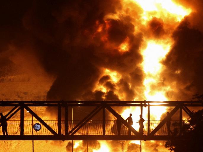 Do only humans die from bombs during war? | विशेष लेख: युद्धकाळात बॉम्ब पडून काय फक्त माणसंच मरतात? Do only humans die from bombs during war? | विशेष लेख: युद्धकाळात बॉम्ब पडून काय फक्त माणसंच मरतात?