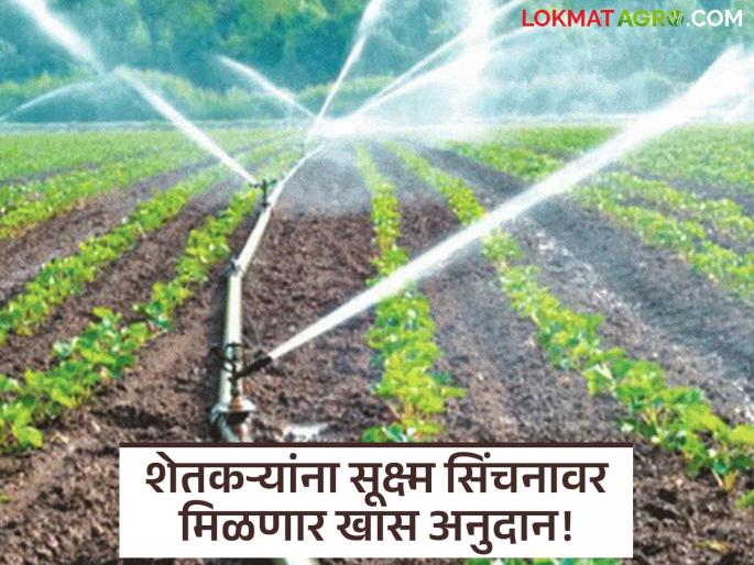 latest news Micro Irrigation Scheme: More crop per drop! Farmers will get special subsidy for micro irrigation Read in detail | Micro Irrigation Scheme : प्रति थेंब अधिक पीक! सूक्ष्म सिंचनासाठी शेतकऱ्यांना मिळणार खास अनुदान वाचा सविस्तर latest news Micro Irrigation Scheme: More crop per drop! Farmers will get special subsidy for micro irrigation Read in detail | Micro Irrigation Scheme : प्रति थेंब अधिक पीक! सूक्ष्म सिंचनासाठी शेतकऱ्यांना मिळणार खास अनुदान वाचा सविस्तर
