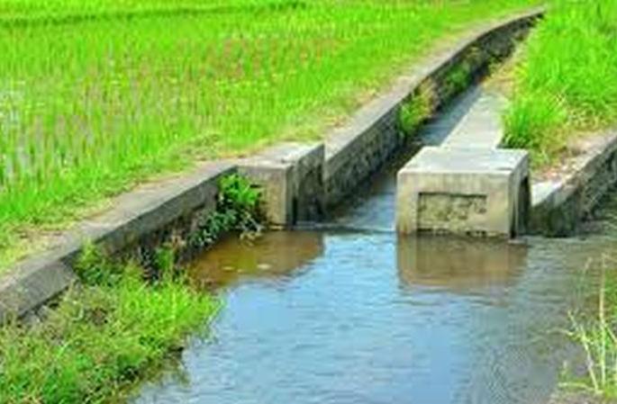 Churning on water; Irrigation Council in Akola | पाण्यावर होणार मंथन; अकोल्यात सिंचन परिषद अकोल्यात
