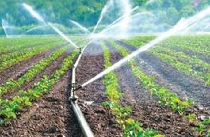 Benefit of Irrigation Grant Scheme within seven years | सिंचन अनुदान योजनेचा सात वर्षातच मिळणार लाभ Benefit of Irrigation Grant Scheme within seven years | सिंचन अनुदान योजनेचा सात वर्षातच मिळणार लाभ