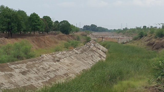 Place File final points on irrigation scam: High Court order | सिंचन घोटाळ्यावर अंतिम मुद्दे दाखल करा : हायकोर्टाचा आदेश Place File final points on irrigation scam: High Court order | सिंचन घोटाळ्यावर अंतिम मुद्दे दाखल करा : हायकोर्टाचा आदेश