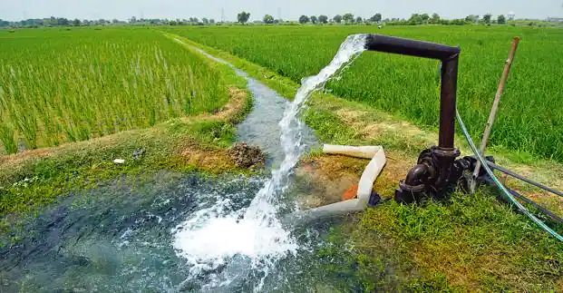 Light comes after 9 pm, farmers in trouble! | रात्री ९ नंतर येते लाईट, ओलितापेक्षा कोरडवाहूच फिट! Light comes after 9 pm, farmers in trouble! | रात्री ९ नंतर येते लाईट, ओलितापेक्षा कोरडवाहूच फिट!