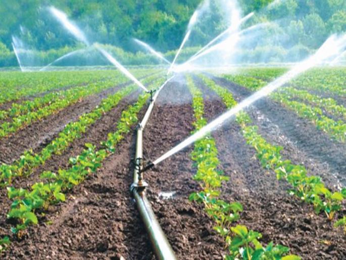 Government positive to increase the scope of Micro Irrigation Scheme- Agriculture Minister Dhananjay Munde | सूक्ष्म सिंचन योजनेची व्याप्ती वाढवण्यासाठी शासन सकारात्मक - धनंजय मुंडे Government positive to increase the scope of Micro Irrigation Scheme- Agriculture Minister Dhananjay Munde | सूक्ष्म सिंचन योजनेची व्याप्ती वाढवण्यासाठी शासन सकारात्मक - धनंजय मुंडे