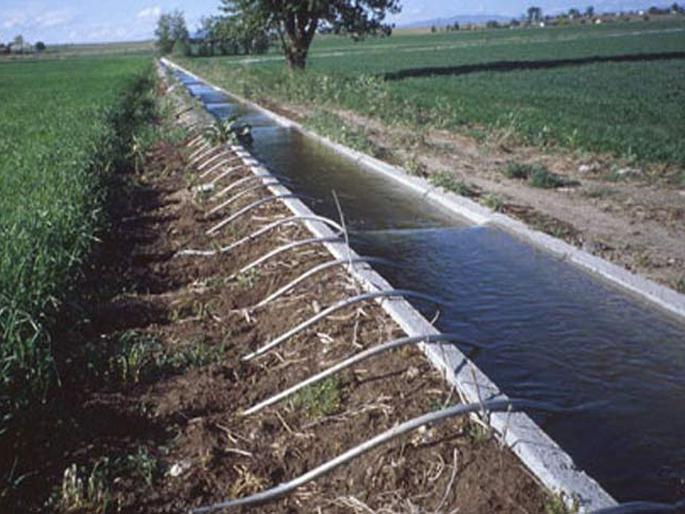 How many irrigation projects in Vidarbha were completed Asks High Court | विदर्भातील किती सिंचन प्रकल्प पूर्ण झाले?; हायकोर्टाची विचारणा How many irrigation projects in Vidarbha were completed Asks High Court | विदर्भातील किती सिंचन प्रकल्प पूर्ण झाले?; हायकोर्टाची विचारणा