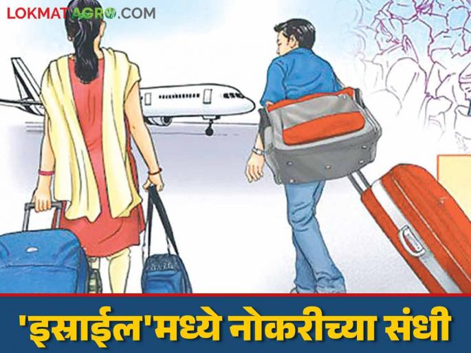 Job opportunity in Israel for youth of the state, salary of more than 1 lakh per month; Apply here? | राज्यातील युवकांना इस्राईलमध्ये नोकरीची संधी, महिन्याला मिळणार १ लाखाहून अधिक पगार; इथे करा अर्ज? Job opportunity in Israel for youth of the state, salary of more than 1 lakh per month; Apply here? | राज्यातील युवकांना इस्राईलमध्ये नोकरीची संधी, महिन्याला मिळणार १ लाखाहून अधिक पगार; इथे करा अर्ज?