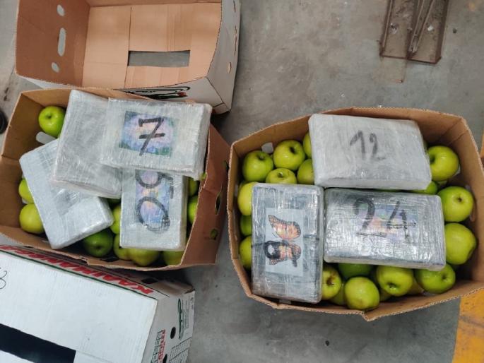It has been smuggled in the name of green apple and Mumbai DII department has taken action | संत्र्यानंतर आता नाशपाती, हिरव्या सफरचंदाच्या नावाखाली तस्करी, मुंबई डीआयआय विभागाची कारवाई It has been smuggled in the name of green apple and Mumbai DII department has taken action | संत्र्यानंतर आता नाशपाती, हिरव्या सफरचंदाच्या नावाखाली तस्करी, मुंबई डीआयआय विभागाची कारवाई