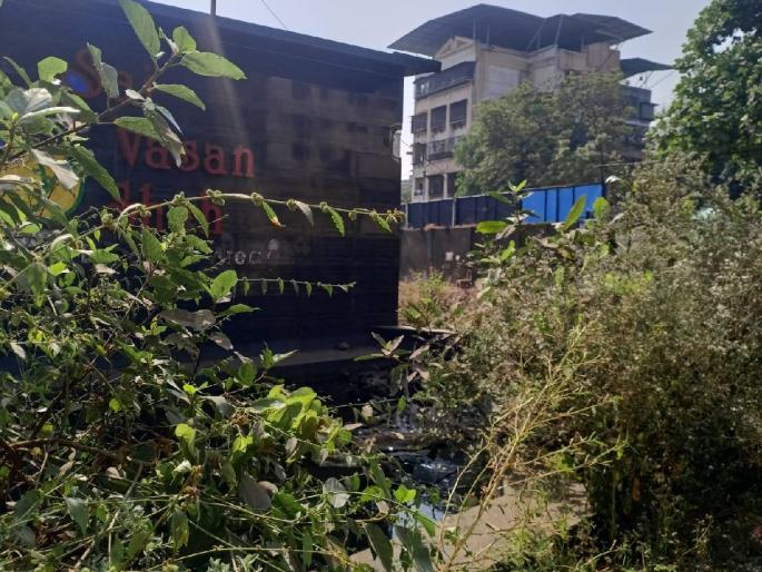 It has come to light that the existence of the park in Ulhasnagar Venus Chowk is in danger | उल्हासनगर व्हीनस चौकातील उद्यानाचे अस्तित्व धोक्यात, भिंत पडली, कारवाई नाही It has come to light that the existence of the park in Ulhasnagar Venus Chowk is in danger | उल्हासनगर व्हीनस चौकातील उद्यानाचे अस्तित्व धोक्यात, भिंत पडली, कारवाई नाही