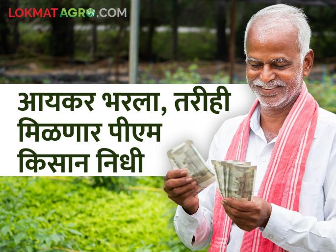 Farmers excluded due to 'ITR' again 'respected'; Benefit of PM Kisan nidhi | 'आयटीआर'मुळे वगळलेल्या शेतकऱ्यांना पुन्हा 'सन्मान'; पीएम किसान निधीचा मिळणार फायदा