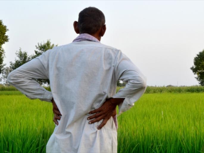 Suicide will continue; Agriculture in Maharashtra, the problem of the farming class is very different | आत्महत्या होतच राहणार; महाराष्ट्रातील शेती, शेतकरी वर्गाची समस्या फार वेगळी Suicide will continue; Agriculture in Maharashtra, the problem of the farming class is very different | आत्महत्या होतच राहणार; महाराष्ट्रातील शेती, शेतकरी वर्गाची समस्या फार वेगळी
