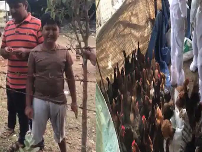 The boy cried loudly while being taken to destroy the hens pune | अरेरे! बर्डफ्लूमुळे कोंबड्यांना घेऊन जाताना पाहिलं; अन् तो ढसाढसा रडला, पाहा व्हिडीओ The boy cried loudly while being taken to destroy the hens pune | अरेरे! बर्डफ्लूमुळे कोंबड्यांना घेऊन जाताना पाहिलं; अन् तो ढसाढसा रडला, पाहा व्हिडीओ