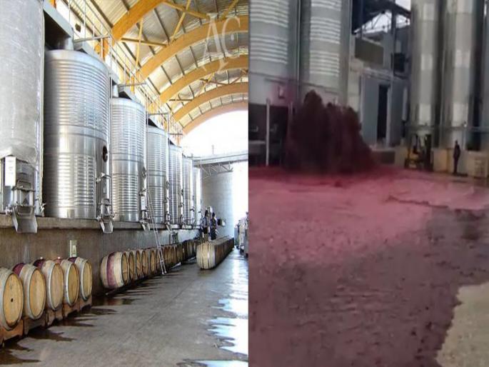 50000 litres of red wine explodes from winery tank people cant stop crying | बापरे! टँकर फुटताच पाण्यासारखी वाहून गेली ५० हजार लिटर रेड वाईन; पाहा व्हिडीओ 50000 litres of red wine explodes from winery tank people cant stop crying | बापरे! टँकर फुटताच पाण्यासारखी वाहून गेली ५० हजार लिटर रेड वाईन; पाहा व्हिडीओ