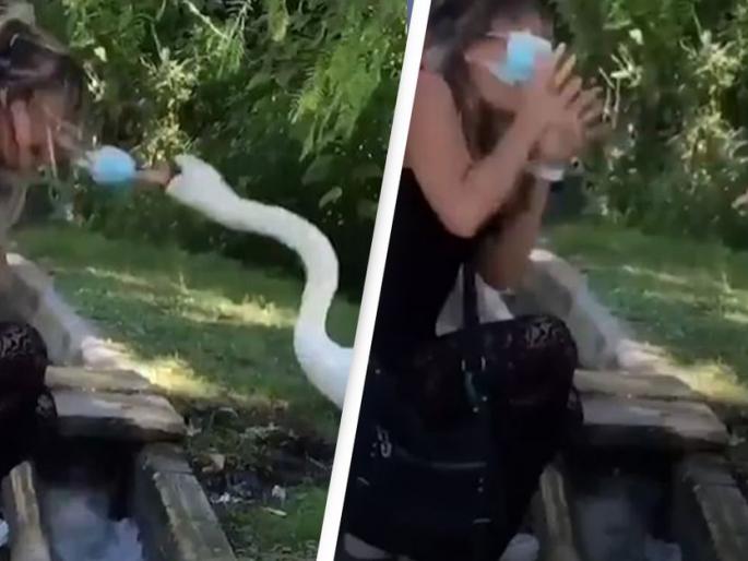 Woman was taught how to wear a face mask properly by an irate swan viral video | Video : मास्क न घातला हंसाजवळ गेली अन् हंसाने रागात 'या' महिलेसोबत केलं असं काही... Woman was taught how to wear a face mask properly by an irate swan viral video | Video : मास्क न घातला हंसाजवळ गेली अन् हंसाने रागात 'या' महिलेसोबत केलं असं काही...