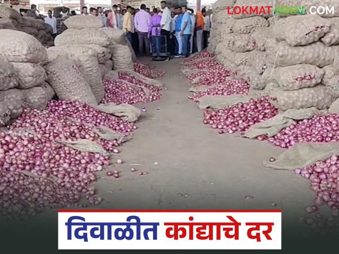 latest news Read in detail how onion arrivals and average prices will be during Diwali 2025 | Diwali Kanda Market : दिवाळीत कांद्याची आवक आणि सरासरी दर कसे राहतील, वाचा सविस्तर 