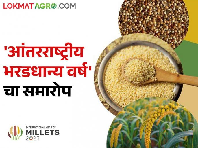 International Year of Millet 2023 concluded at the headquarters of the Food and Agriculture Organization in Italy | इटलीतील अन्न आणि कृषी संघटनेच्या मुख्यालयात आंतरराष्ट्रीय भरड धान्य वर्ष २०२३ चा समारोप