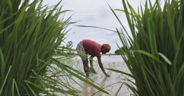 Deteriorating rainfall is worrying day by day | पावसाचे घटणारे प्रमाण दिवसेंदिवस चिंताजनक