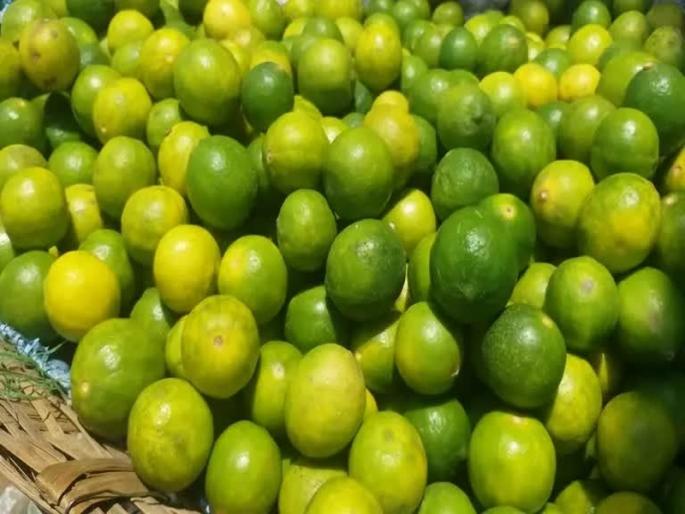 Lemon price breaks record this year | बाजारपेठेपासून सोशल मीडियापर्यंतच्या चर्चेत लिंबूचाच वरचष्मा; एक लिंबू चक्क १५ रुपयांना Lemon price breaks record this year | बाजारपेठेपासून सोशल मीडियापर्यंतच्या चर्चेत लिंबूचाच वरचष्मा; एक लिंबू चक्क १५ रुपयांना