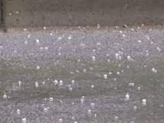 Chance of hail, with hail in Vidarbha | विदर्भात गारपिटीसह, वादळी पावसाची शक्यता