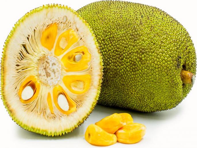 Jackfruit declared Kerala’s official fruit | फणस बनले केरळचे राज्यफळ Jackfruit declared Kerala’s official fruit | फणस बनले केरळचे राज्यफळ