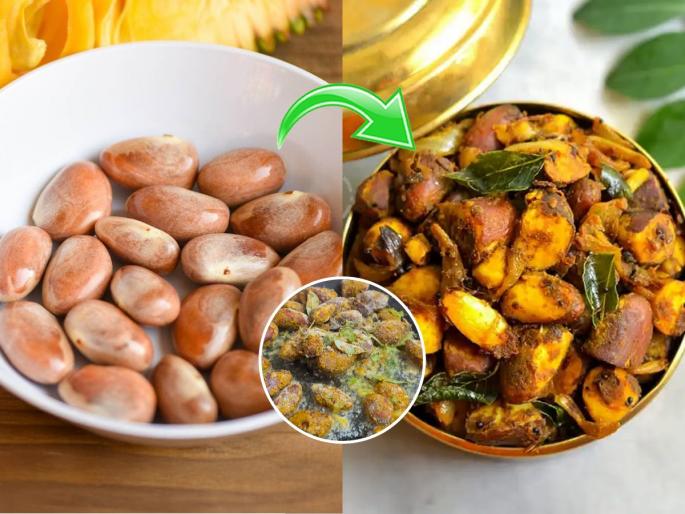 Jackefruit Seed Fry Fansachya Aathlya Fry How To Make Jackefruit Seed Fry | मस्त मुसळधार पावसात करा पौष्टिक आणि चमचमीत फणसाच्या आठळ्या फ्राय- पारंपरिक टेस्टी पदार्थ...