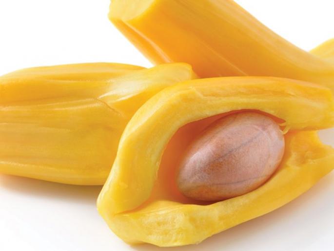 4th July, World Jackfruit Day : Benefits of eating jackfruit, good for healt | गरे खा गरे, आरोग्याला बरे !! फणस खाण्याचे आहेत भरपूर फायदे, वाचा आणि खा....