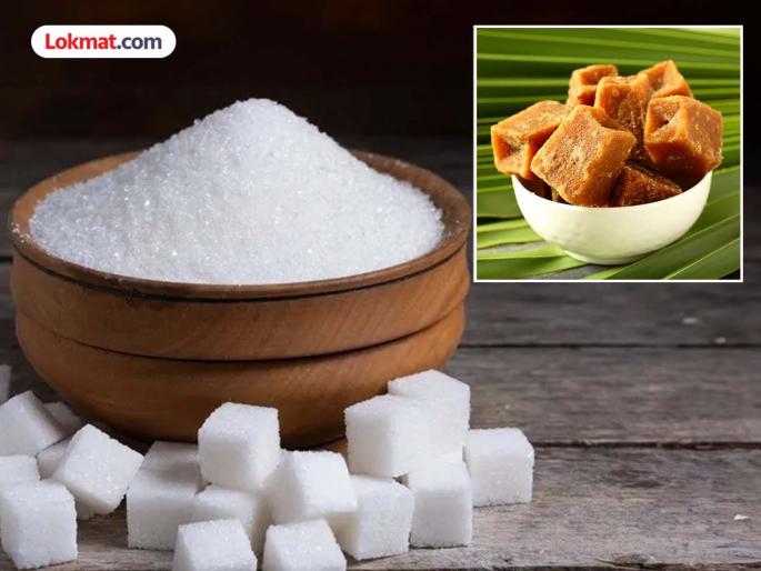 FDA seized adulterated jaggery sample that can damage kidney | साखरेऐवजी गुळाचा वापर करत असाल वेळीच व्हा सावध, किडनी होऊ शकते फेल! FDA seized adulterated jaggery sample that can damage kidney | साखरेऐवजी गुळाचा वापर करत असाल वेळीच व्हा सावध, किडनी होऊ शकते फेल!