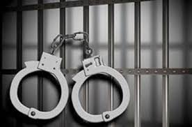 Filmmaker Dr. Swapna Patkar arrested, fake doctor's degree case | चित्रपट निर्मात्या डॉ. स्वप्ना पाटकरला अटक, बनावट डॉक्टर पदवी प्रकरण Filmmaker Dr. Swapna Patkar arrested, fake doctor's degree case | चित्रपट निर्मात्या डॉ. स्वप्ना पाटकरला अटक, बनावट डॉक्टर पदवी प्रकरण