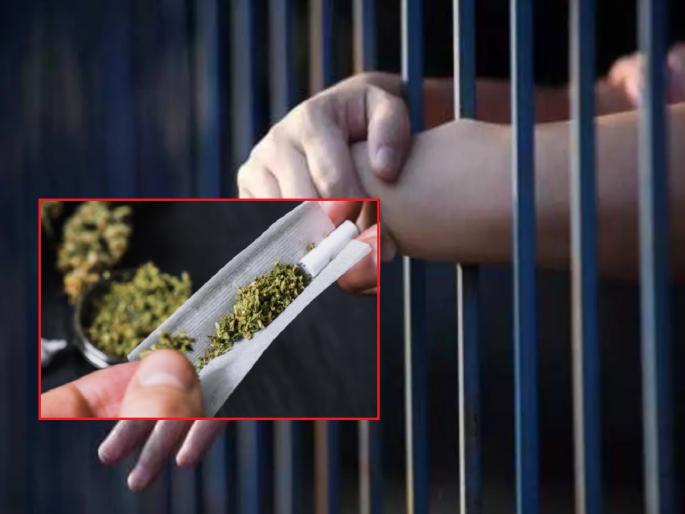 preparation of intoxication in prison; The accused in the murder hide ganja in his underwear | जेलमध्ये नशेची तयारी; खुनातील आरोपीने अंडरविअरमध्ये लपवला गांजा preparation of intoxication in prison; The accused in the murder hide ganja in his underwear | जेलमध्ये नशेची तयारी; खुनातील आरोपीने अंडरविअरमध्ये लपवला गांजा