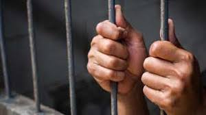 Cells for fraudulent traders | फसवणूक करणाऱ्या व्यापाऱ्यांना कोठडी Cells for fraudulent traders | फसवणूक करणाऱ्या व्यापाऱ्यांना कोठडी