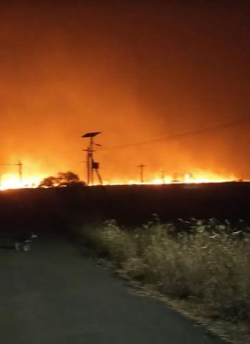 A fire broke out in the house at midnight at Naneli | नानेली येथे मध्यरात्री घरात अग्नितांडव