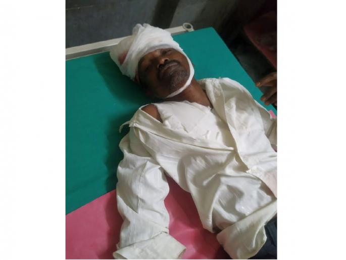 Farmer seriously injured in bear attack in sadak arjuni tehsil | अस्वलाच्या हल्ल्यात शेतकरी गंभीर जखमी; खोबा हलबीटोला येथील घटना Farmer seriously injured in bear attack in sadak arjuni tehsil | अस्वलाच्या हल्ल्यात शेतकरी गंभीर जखमी; खोबा हलबीटोला येथील घटना